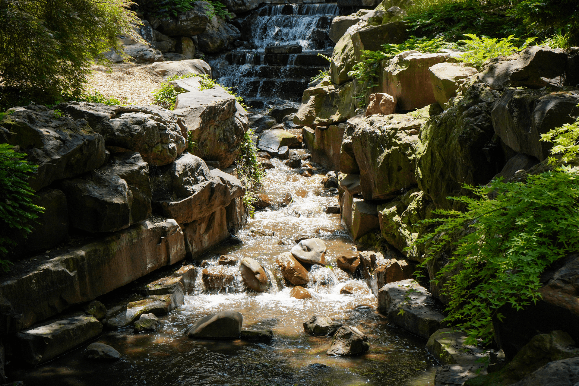 Creative Natural Shoots